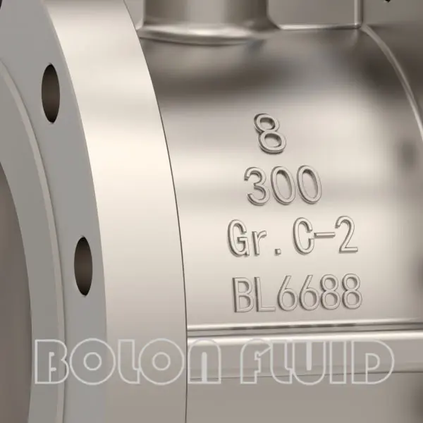 Titanium B367 Gr.C-2 API Standard Flanged Butterfly Valve - 图片 2